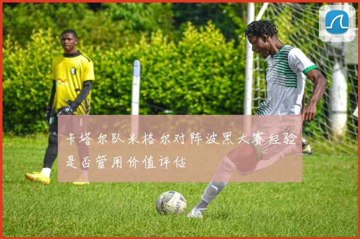卡塔尔队米格尔对阵波黑大赛经验是否管用价值评估