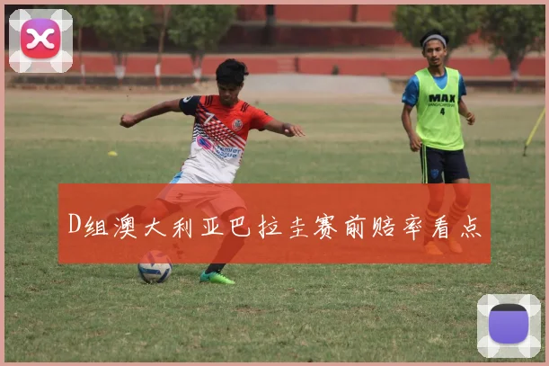 D组澳大利亚巴拉圭赛前赔率看点