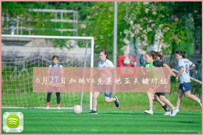 6月27日加纳vs克罗地亚关键对位