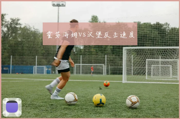 霍芬海姆vs汉堡反击速度